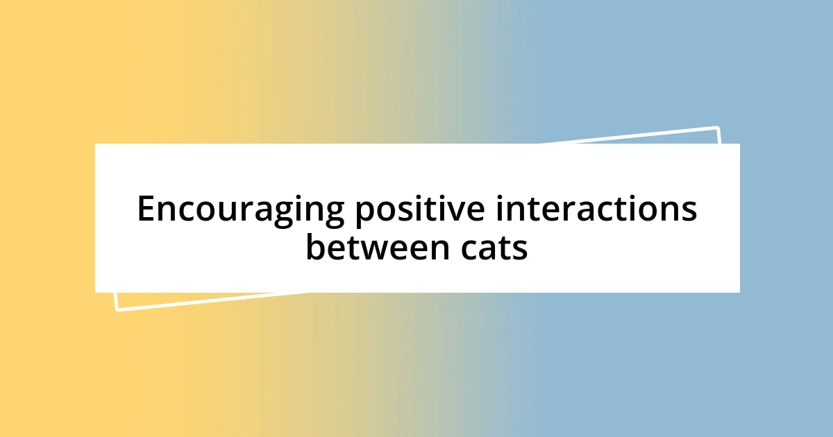 Encouraging positive interactions between cats