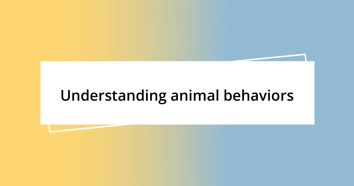 Understanding animal behaviors