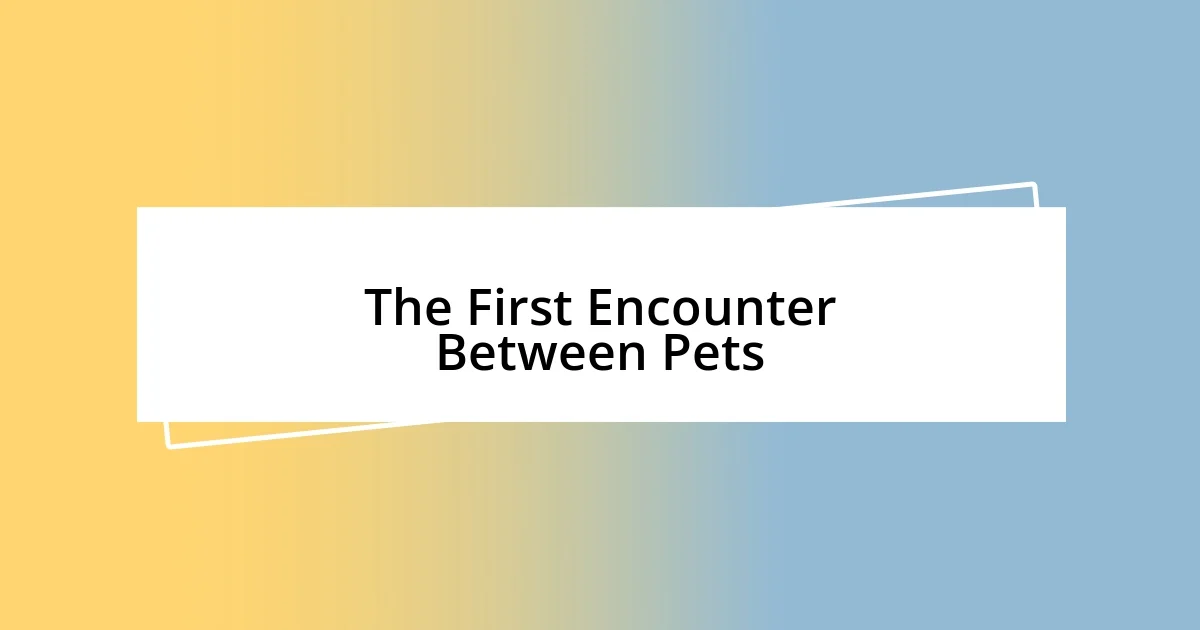 The First Encounter Between Pets