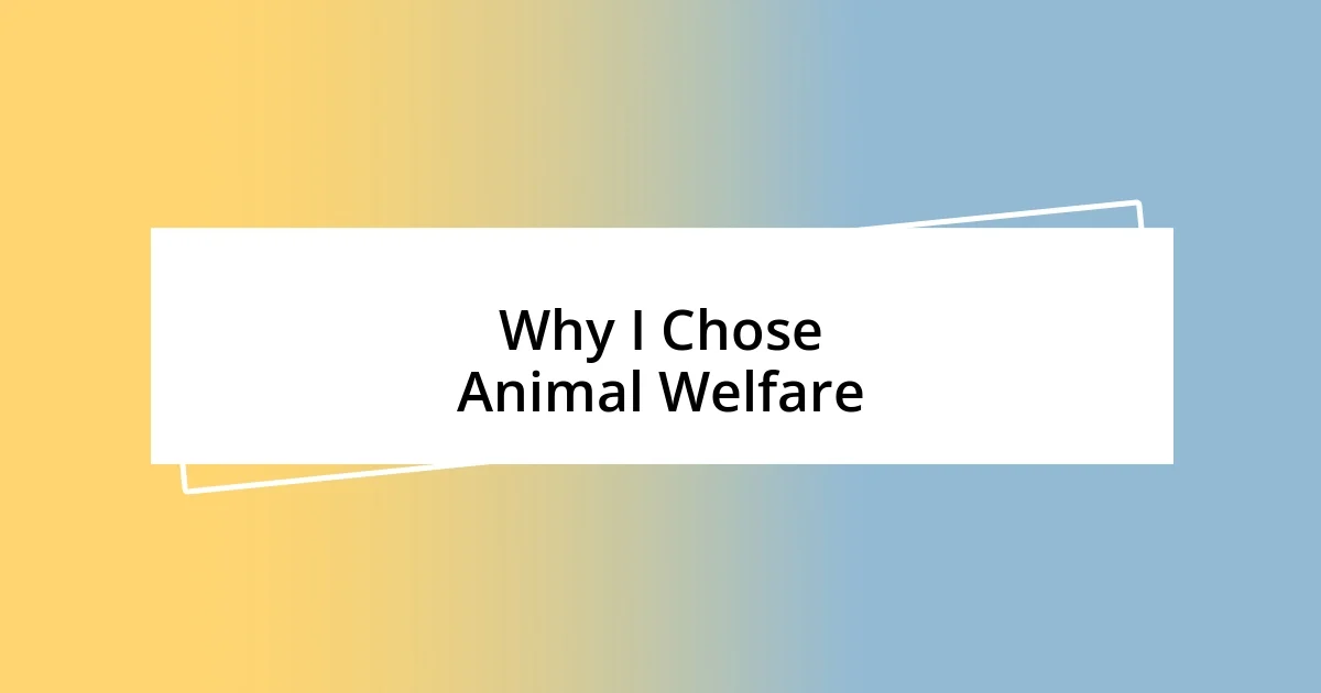 Why I Chose Animal Welfare