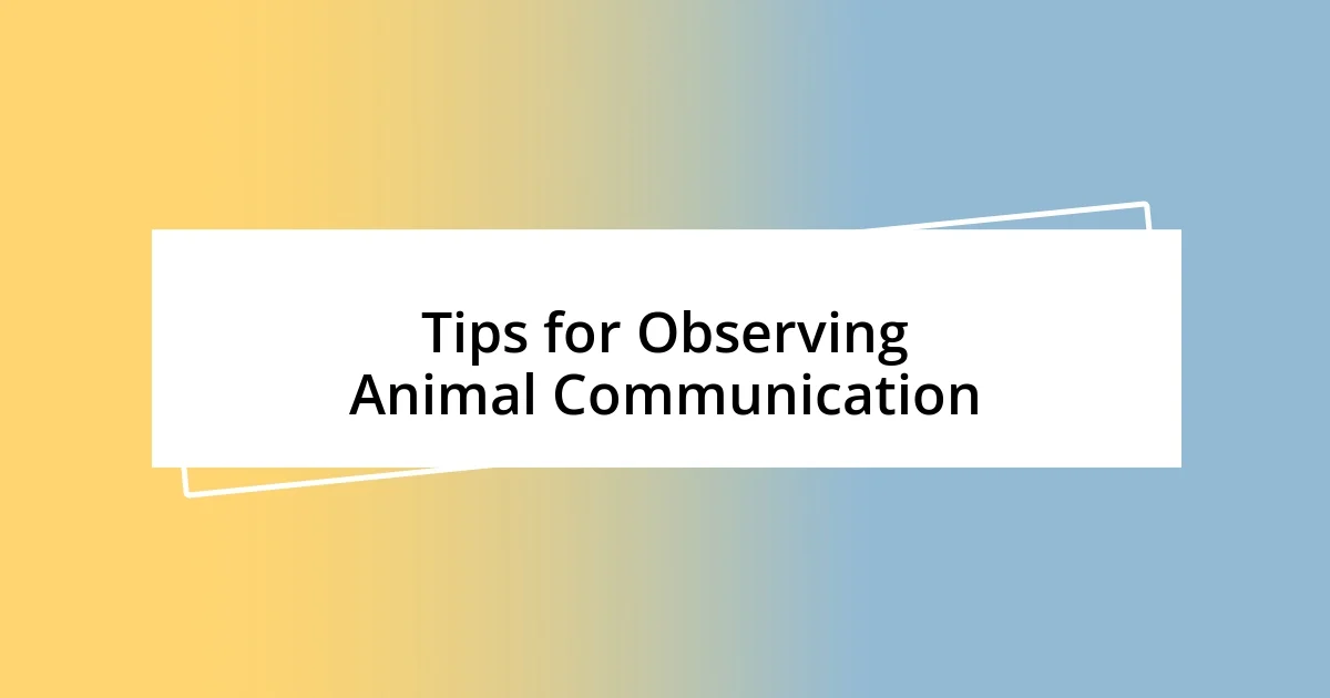 Tips for Observing Animal Communication