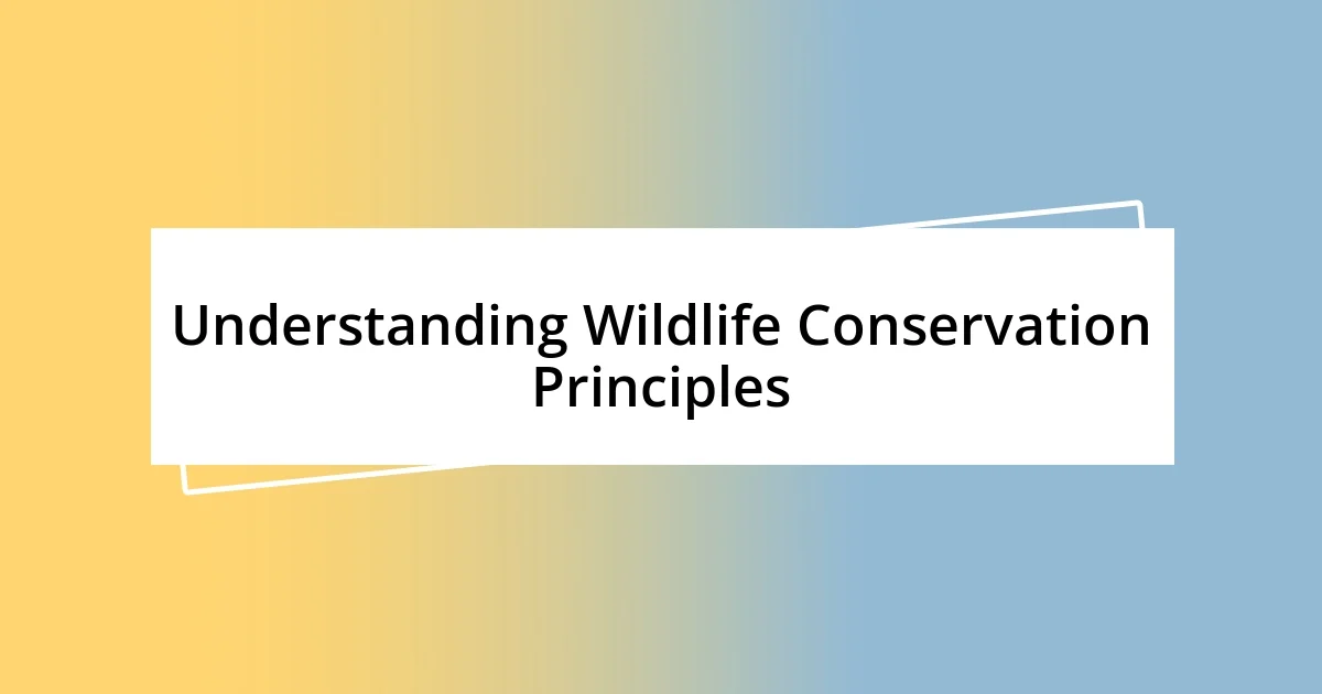 Understanding Wildlife Conservation Principles