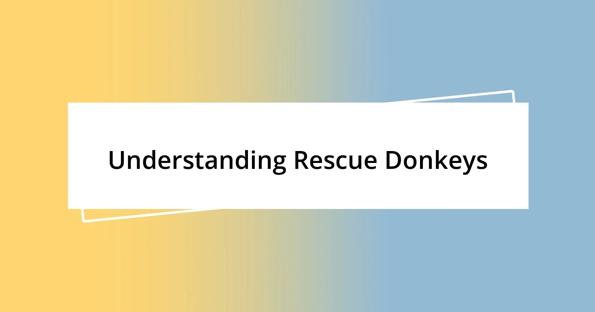 Understanding Rescue Donkeys