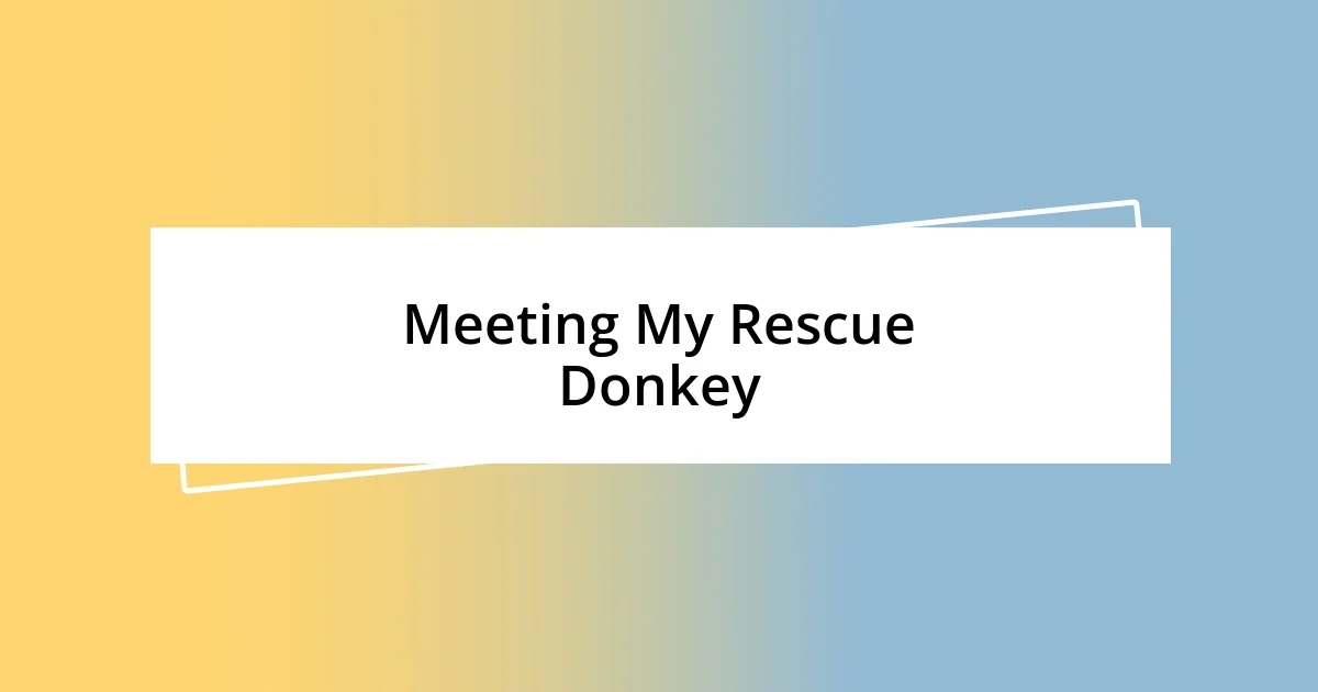 Meeting My Rescue Donkey