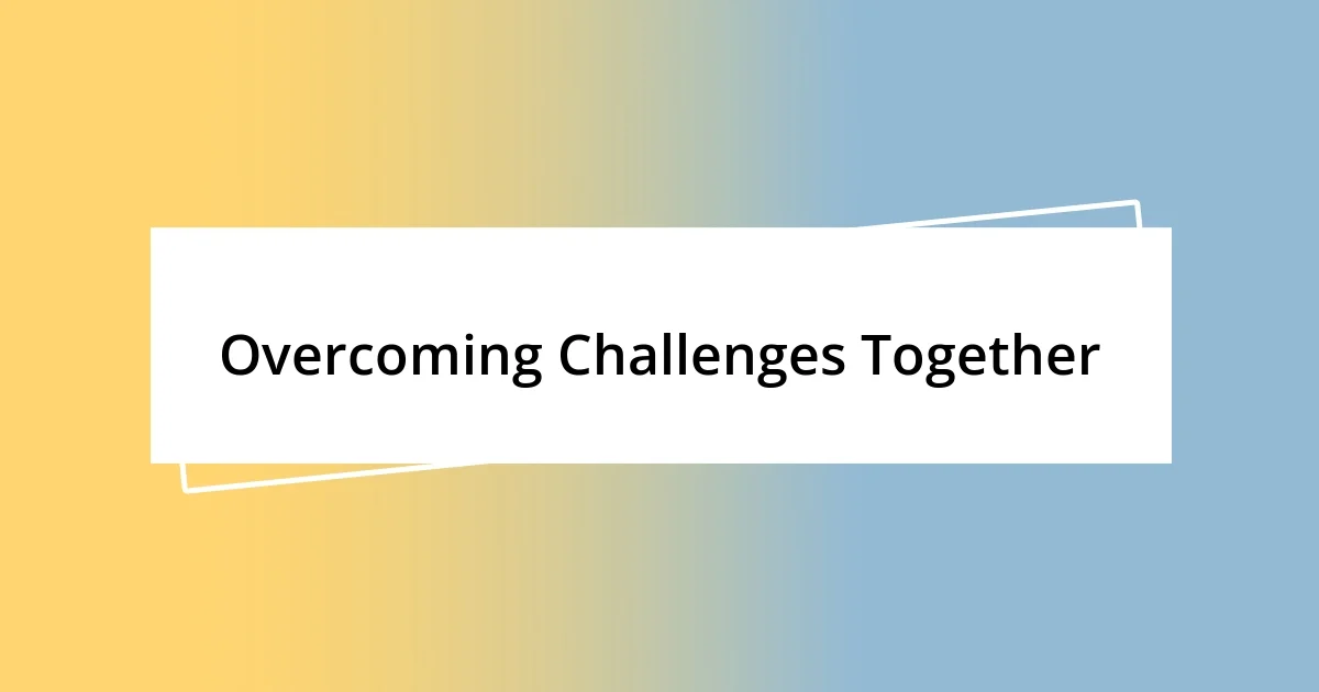 Overcoming Challenges Together