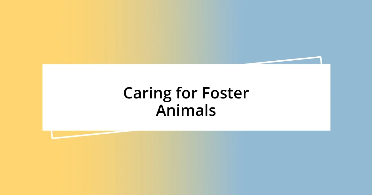 Caring for Foster Animals