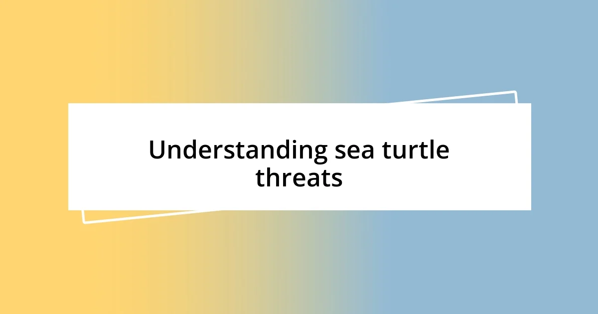 Understanding sea turtle threats