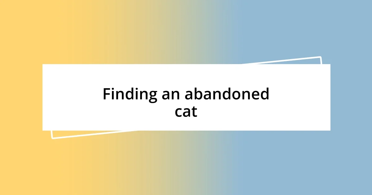 Finding an abandoned cat