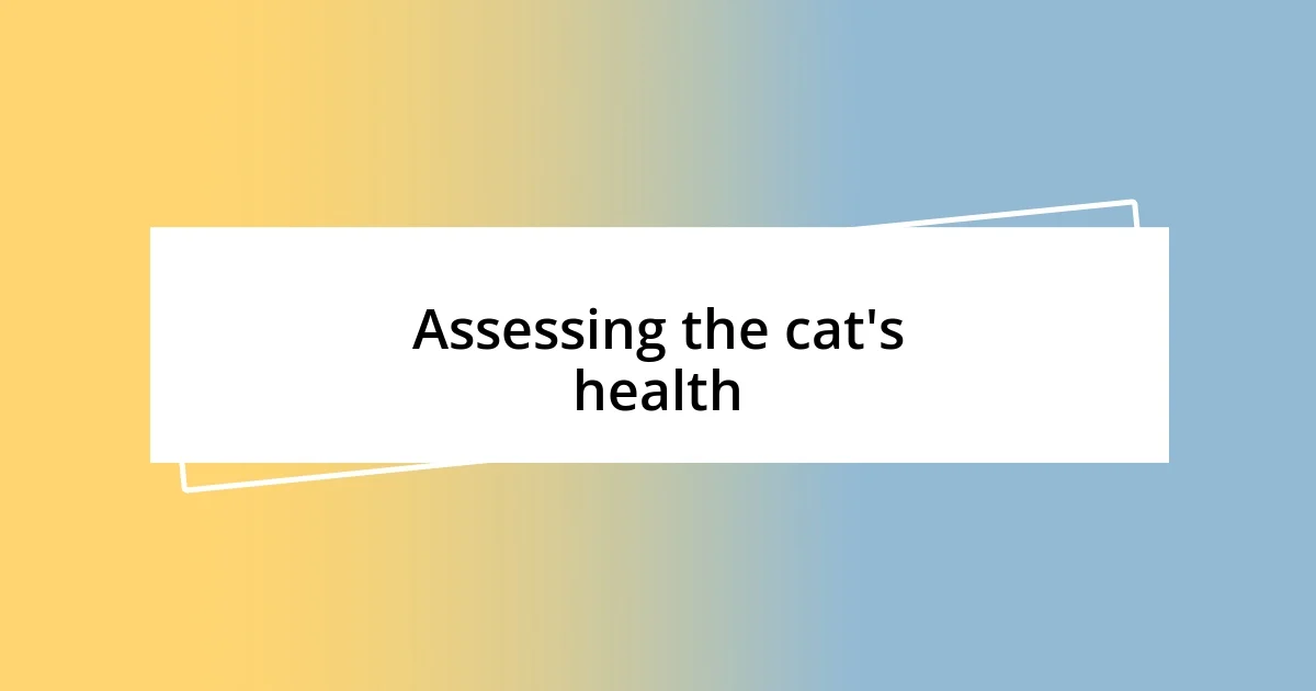 Assessing the cat