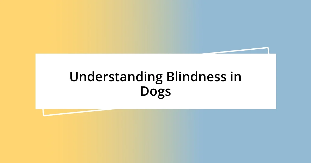 Understanding Blindness in Dogs