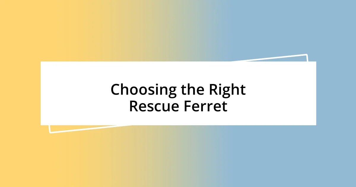 Choosing the Right Rescue Ferret