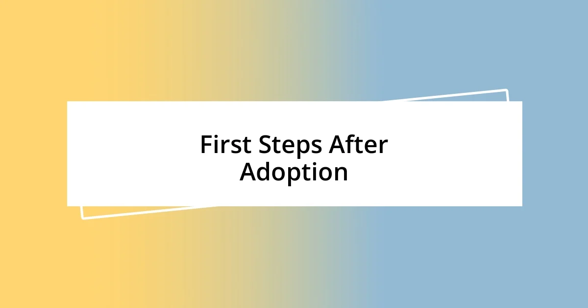 First Steps After Adoption