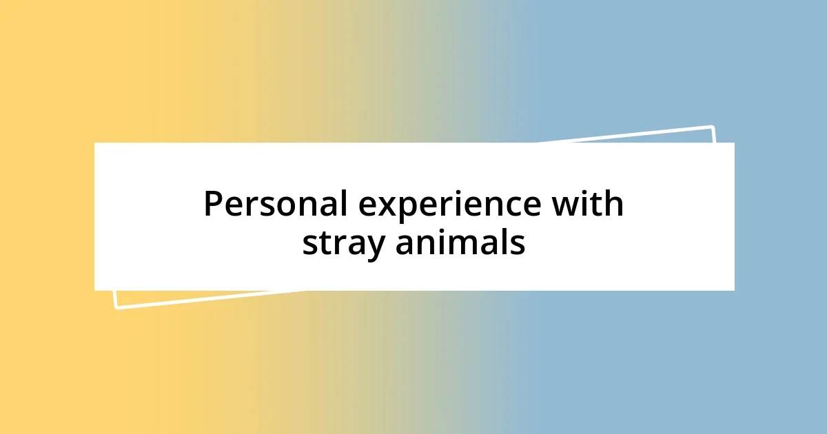 Personal experience with stray animals