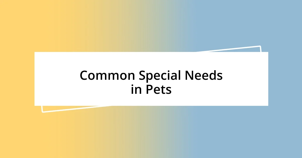 Common Special Needs in Pets