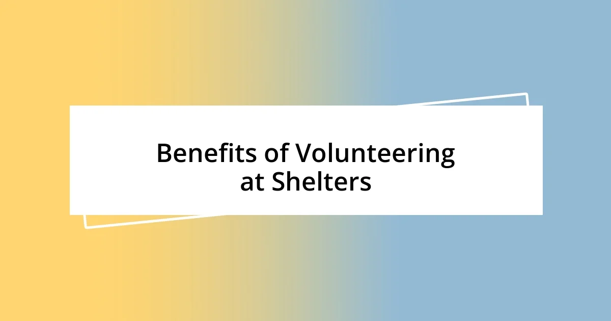 Benefits of Volunteering at Shelters