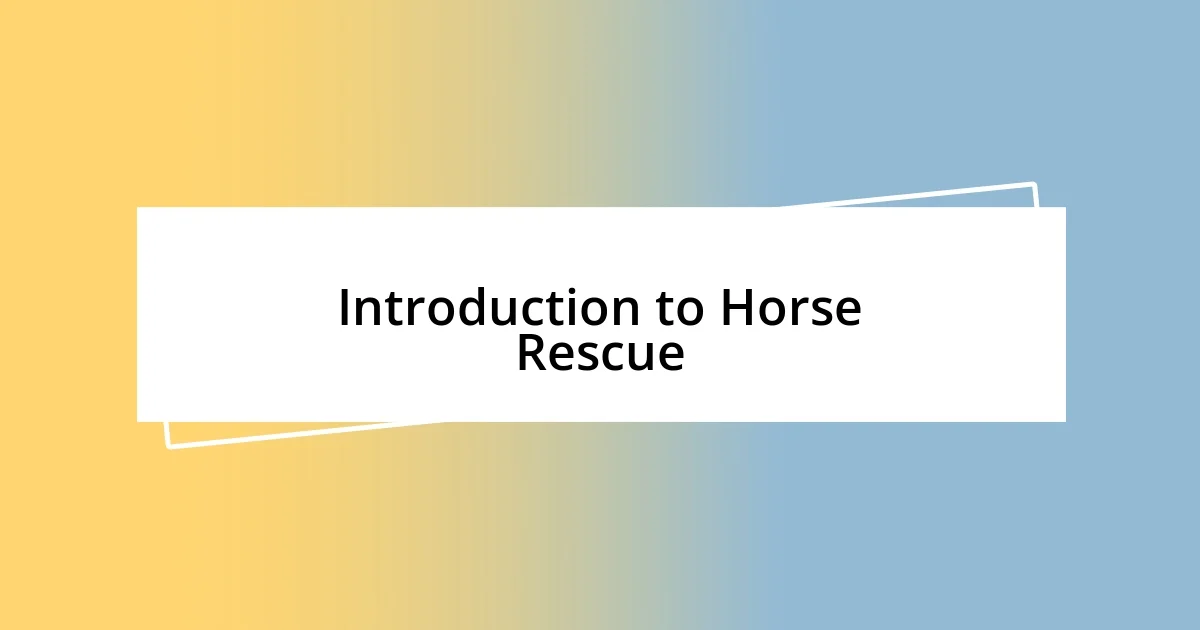 Introduction to Horse Rescue