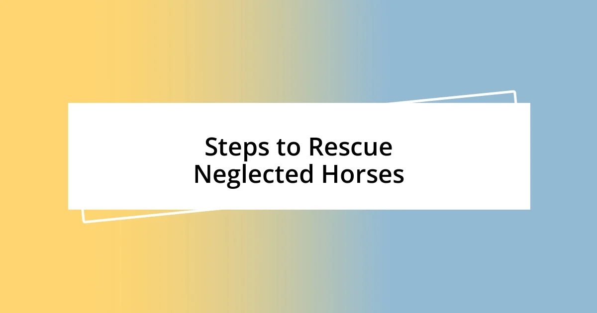 Steps to Rescue Neglected Horses