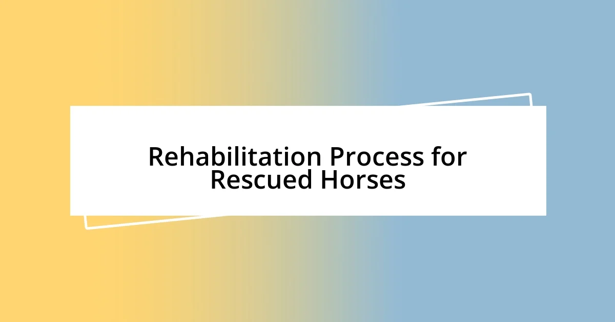 Rehabilitation Process for Rescued Horses