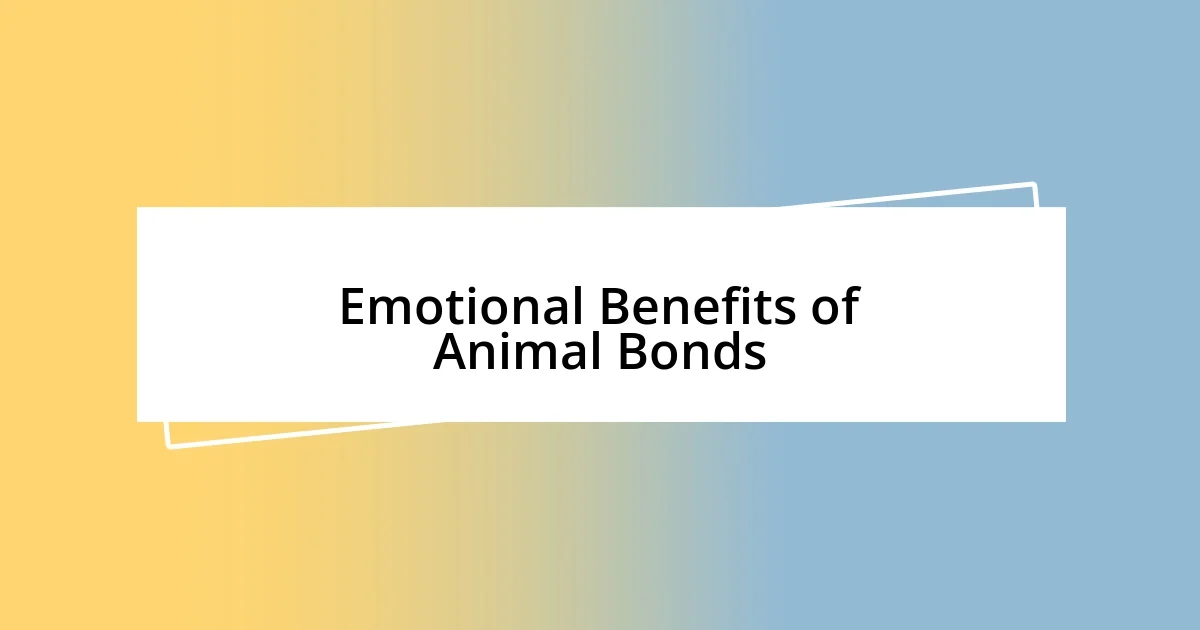 Emotional Benefits of Animal Bonds