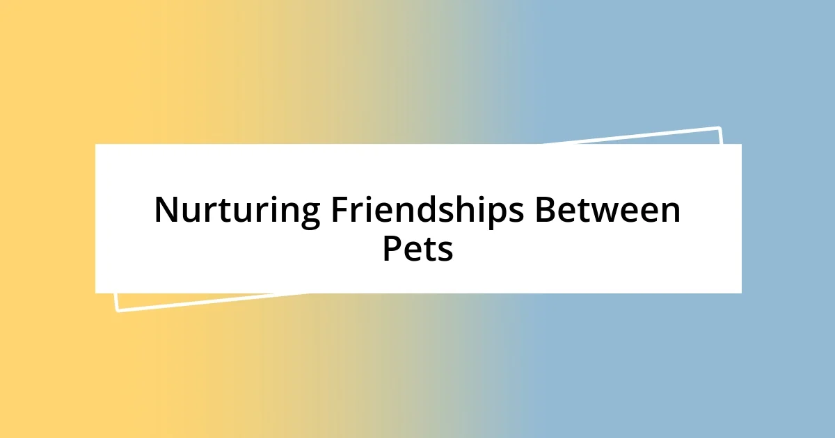 Nurturing Friendships Between Pets