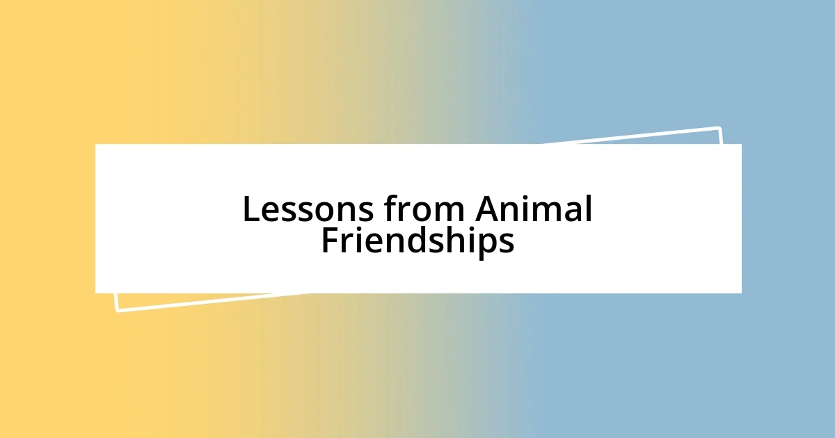 Lessons from Animal Friendships