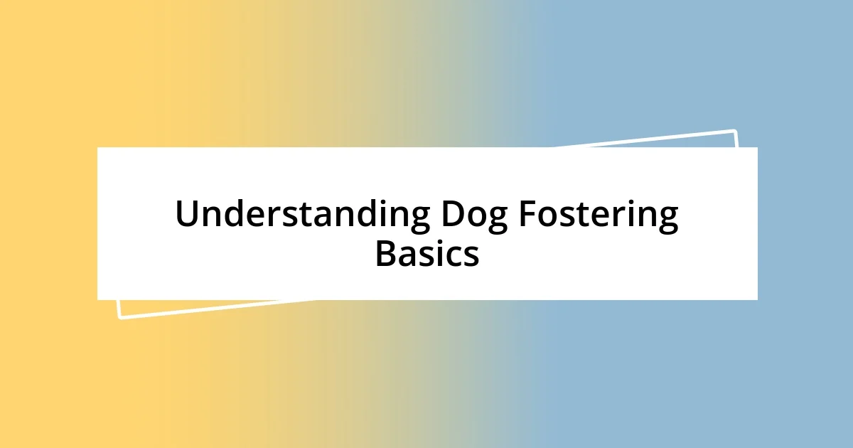 Understanding Dog Fostering Basics