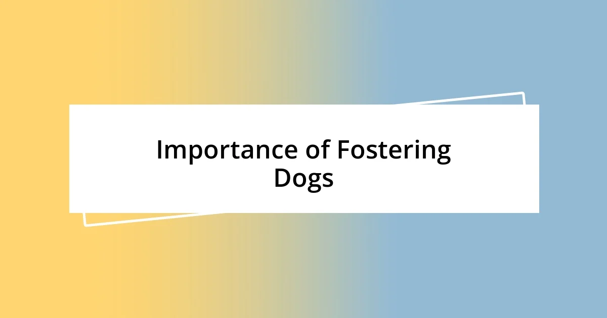 Importance of Fostering Dogs