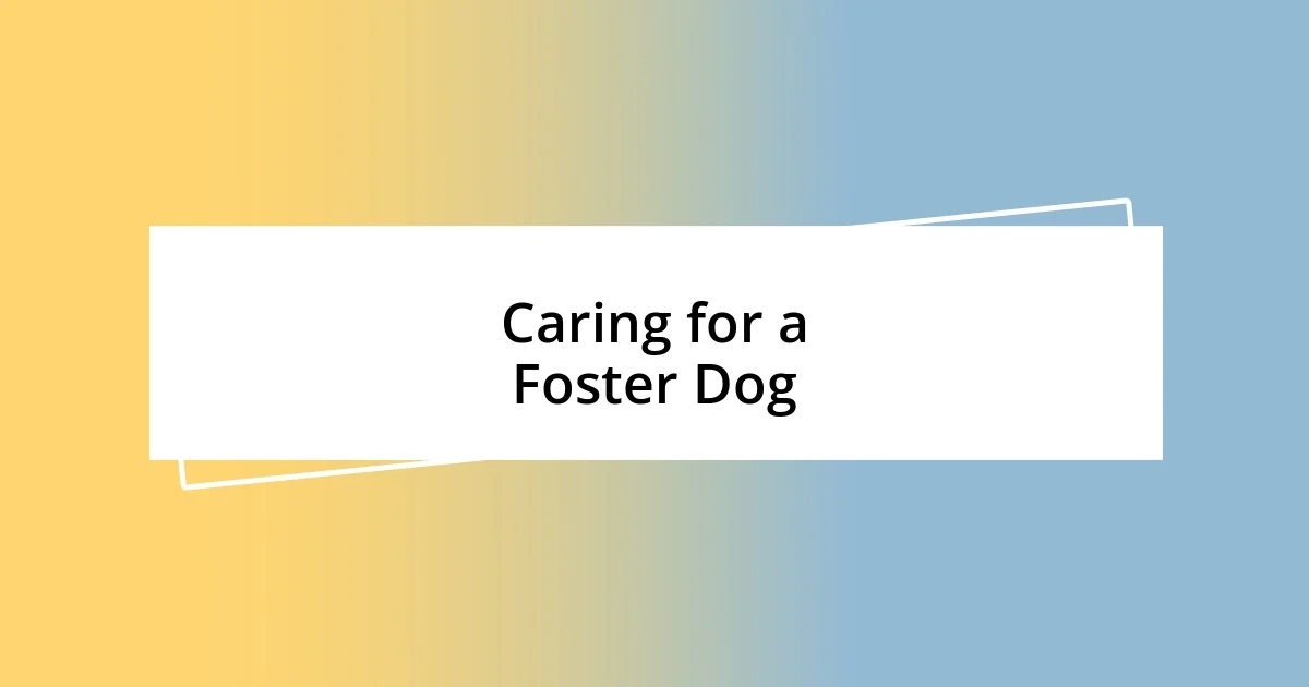 Caring for a Foster Dog