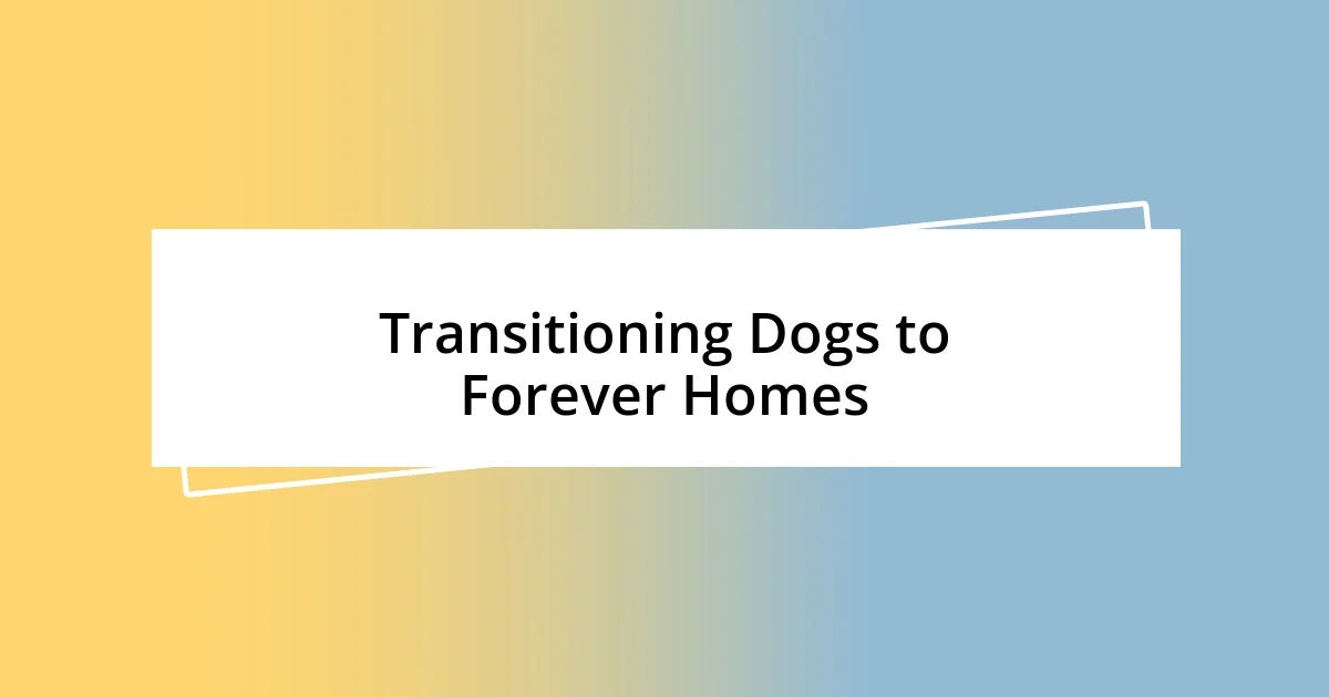 Transitioning Dogs to Forever Homes