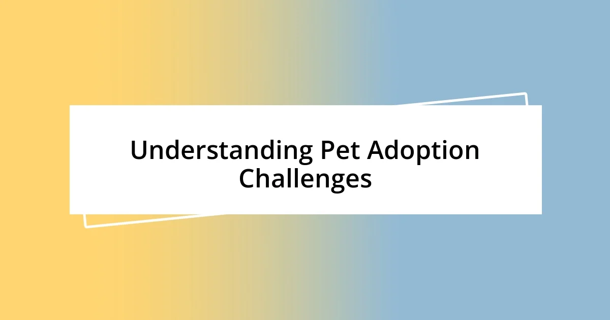 Understanding Pet Adoption Challenges