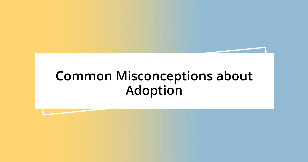 Common Misconceptions about Adoption