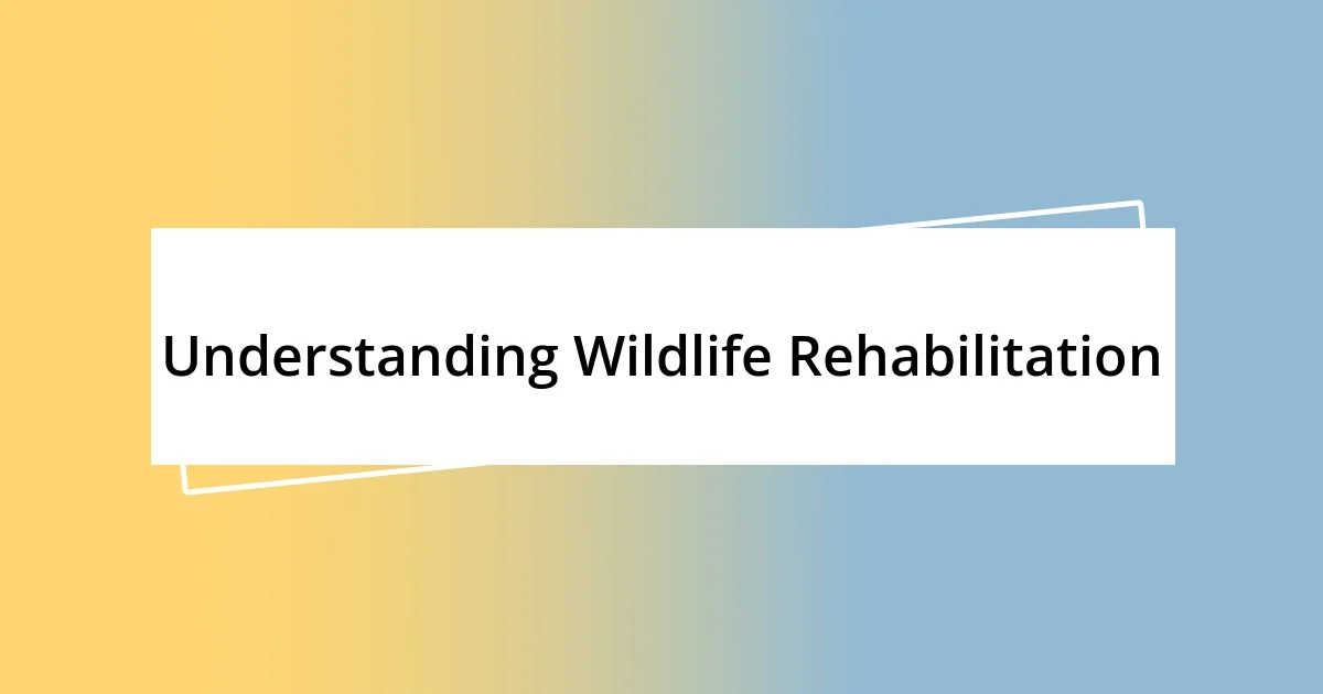 Understanding Wildlife Rehabilitation