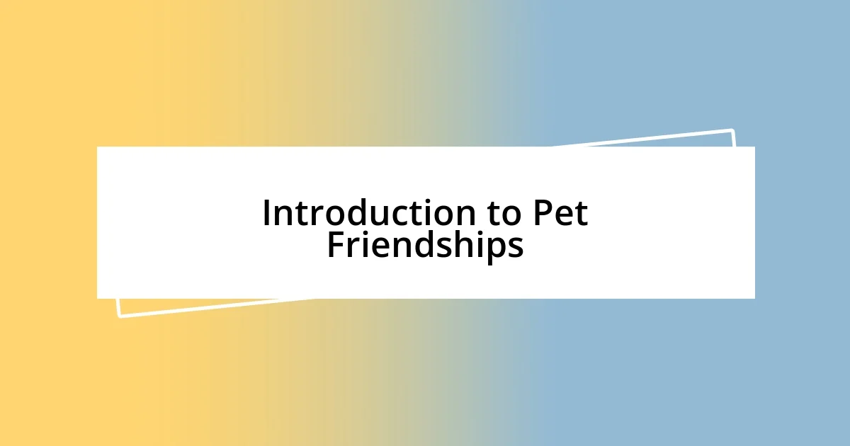 Introduction to Pet Friendships