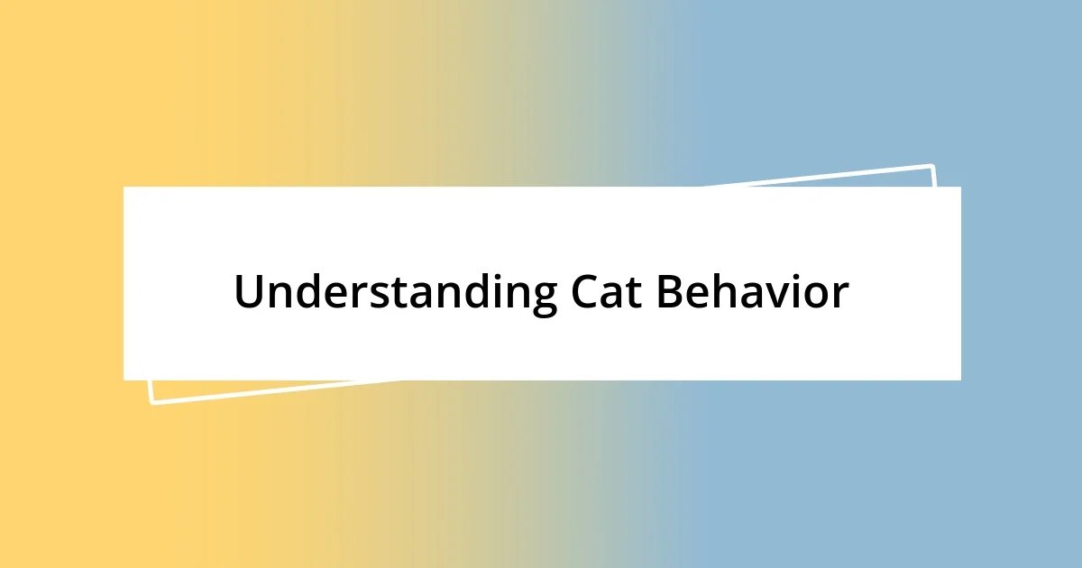 Understanding Cat Behavior