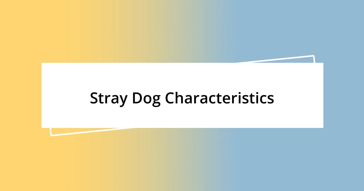 Stray Dog Characteristics