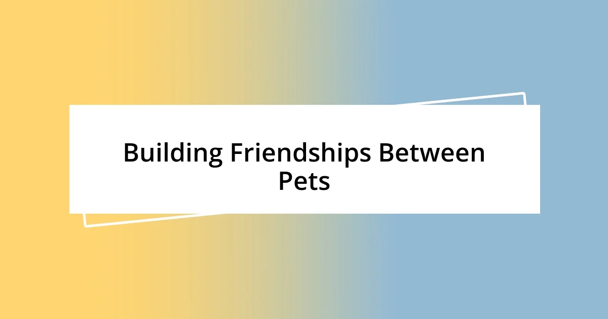 Building Friendships Between Pets