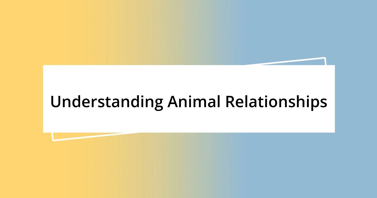 Understanding Animal Relationships