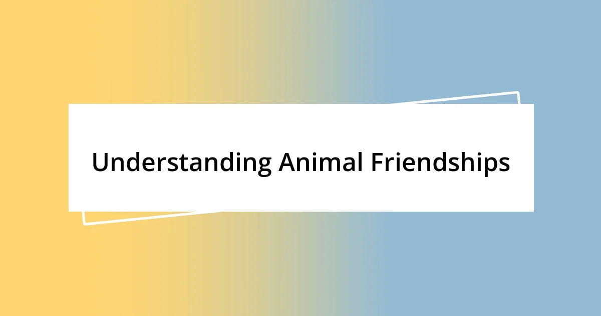 Understanding Animal Friendships