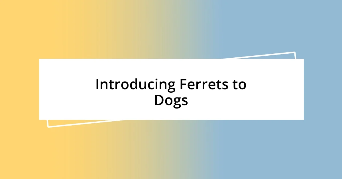 Introducing Ferrets to Dogs