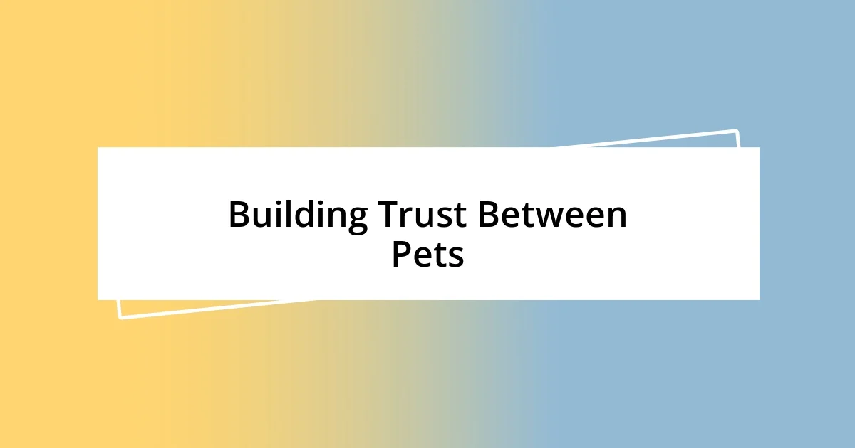 Building Trust Between Pets