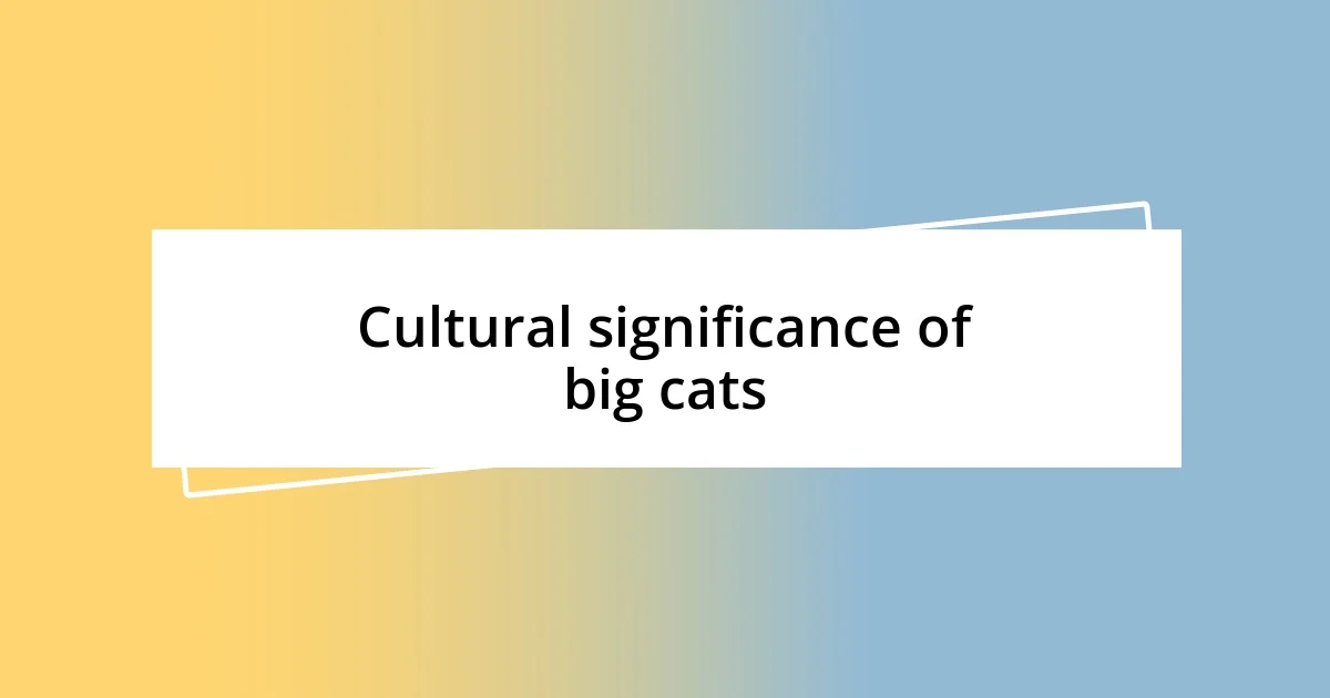 Cultural significance of big cats