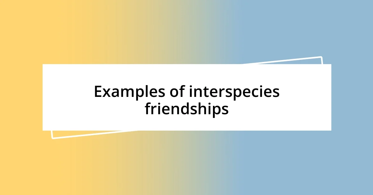 Examples of interspecies friendships