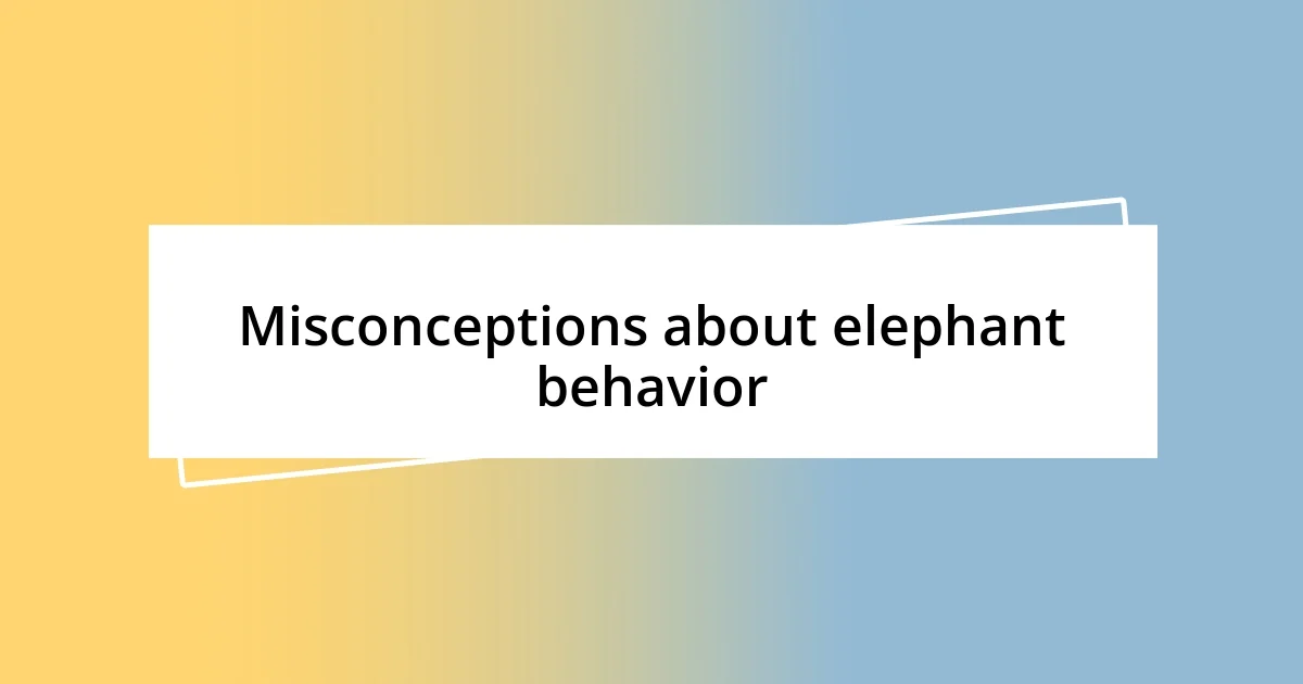 Misconceptions about elephant behavior