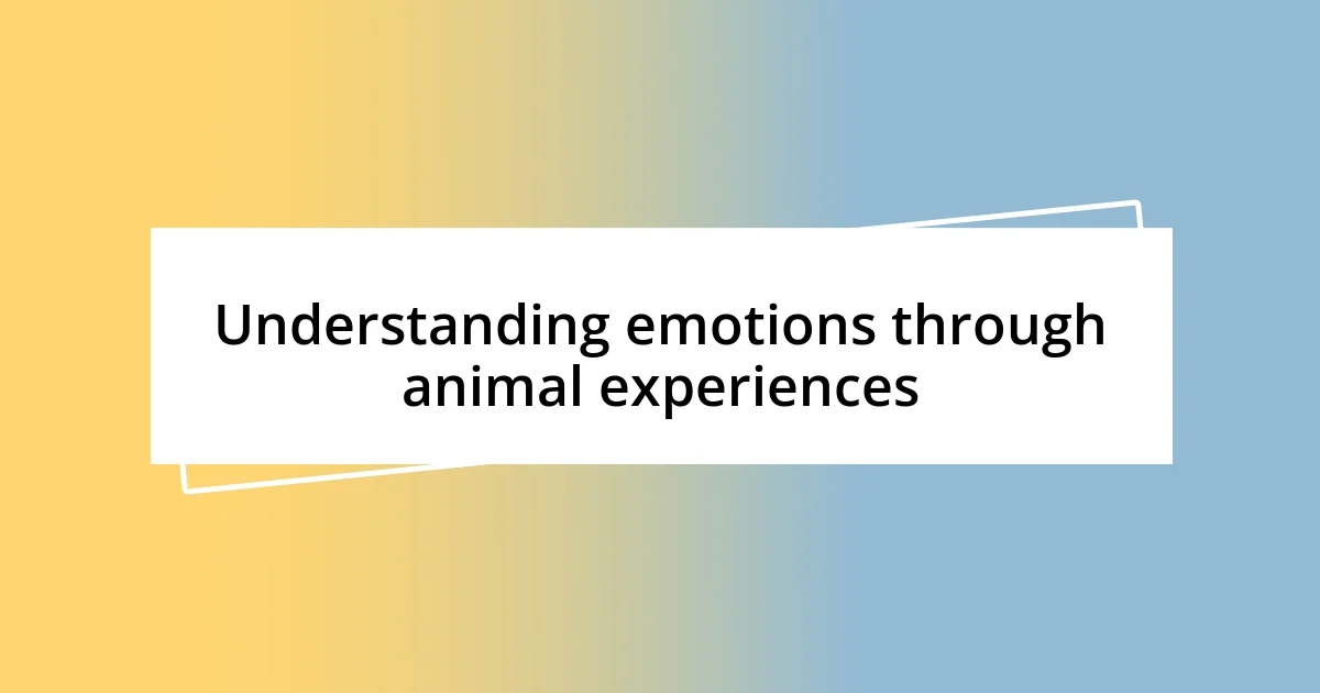 Understanding emotions through animal experiences