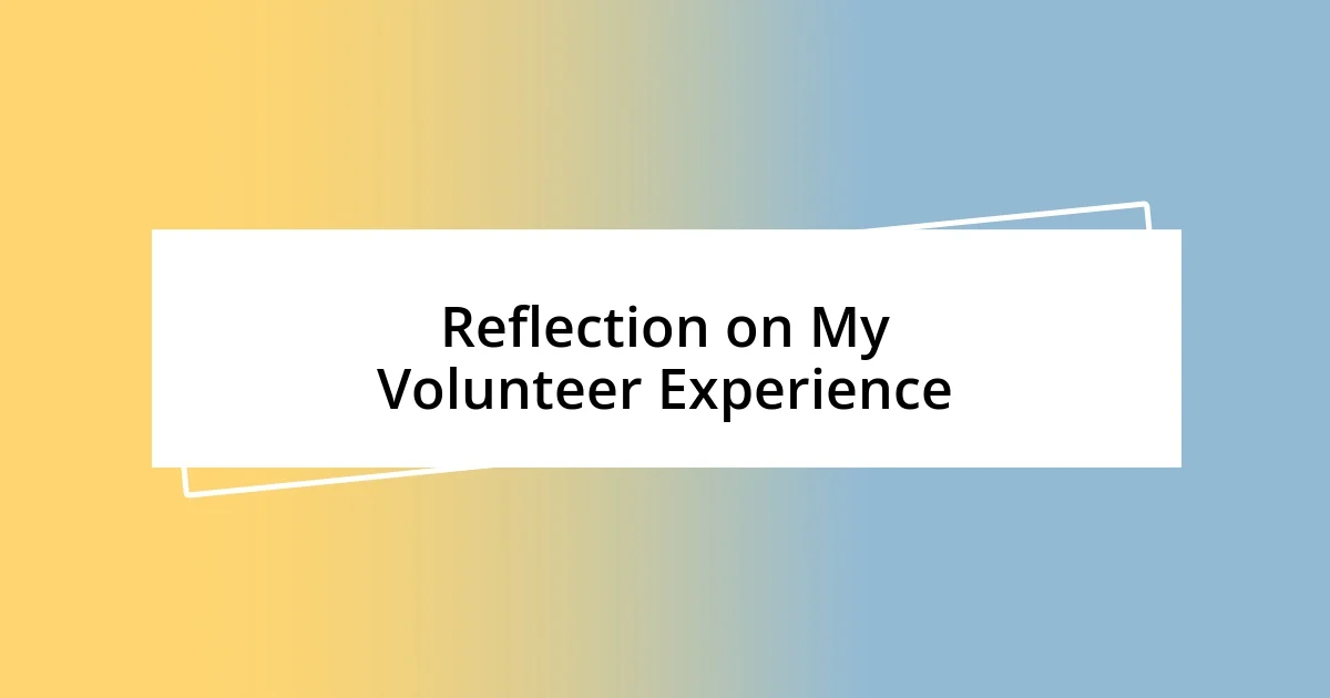 Reflection on My Volunteer Experience