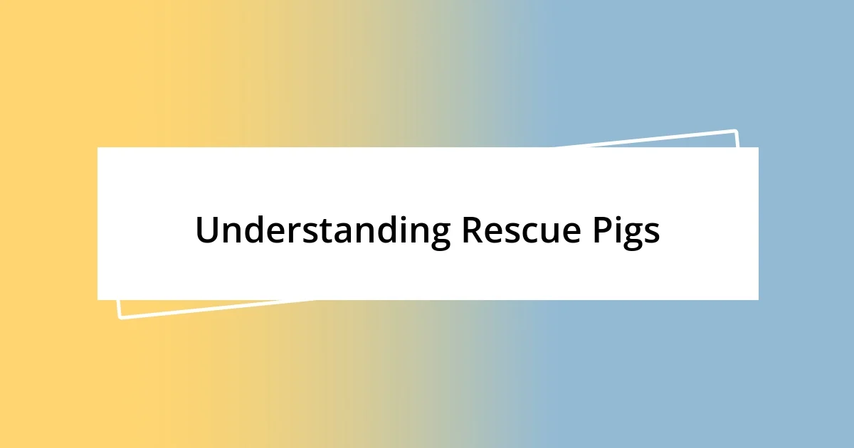 Understanding Rescue Pigs