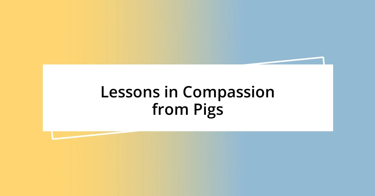 Lessons in Compassion from Pigs