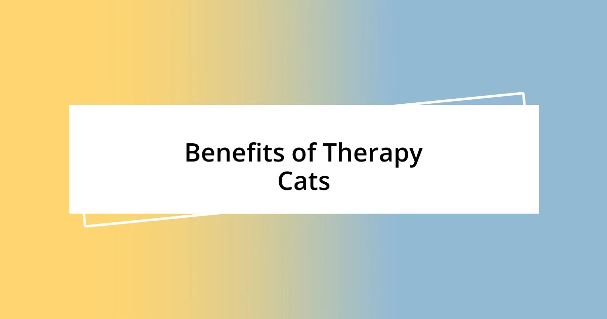 Benefits of Therapy Cats