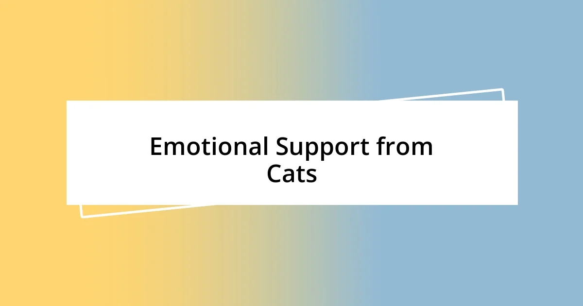 Emotional Support from Cats