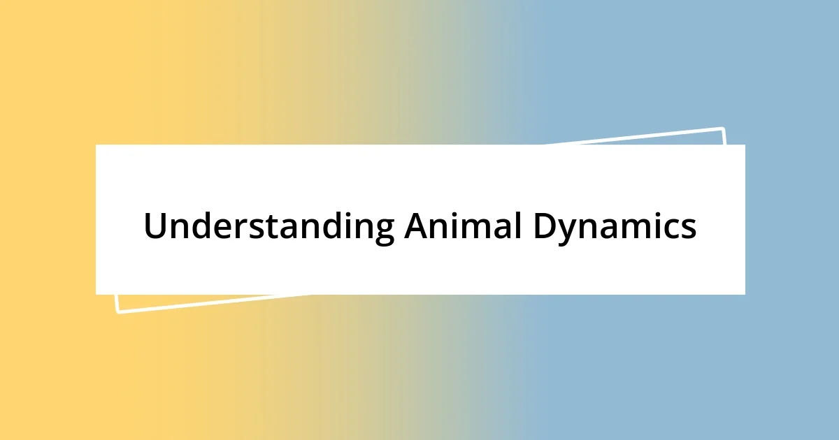 Understanding Animal Dynamics